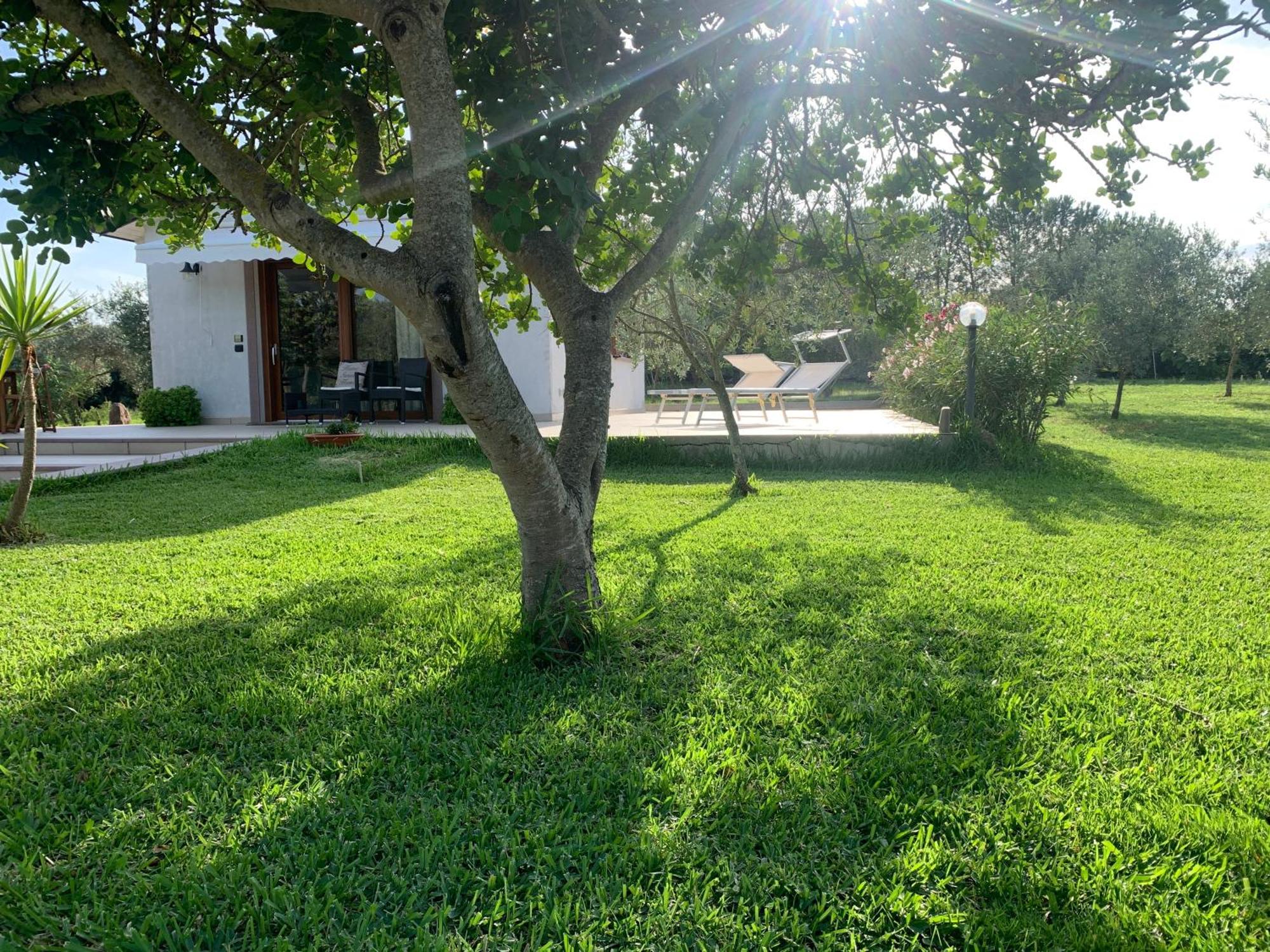 La Casetta Holiday Home Alghero Bagian luar foto